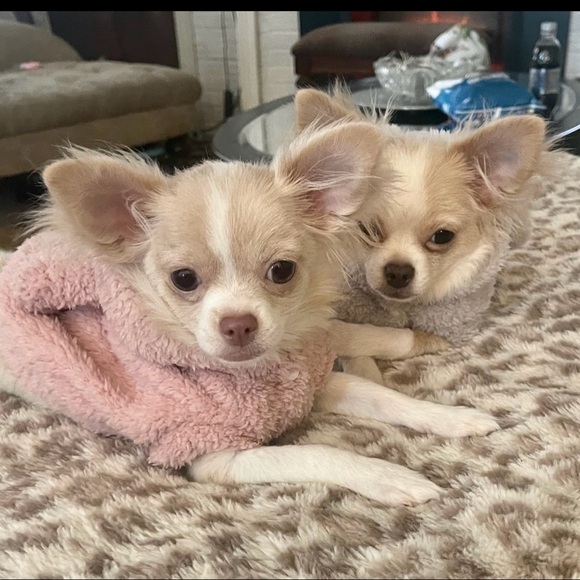 Meet your Posher, Erin - Picture 5 of 15